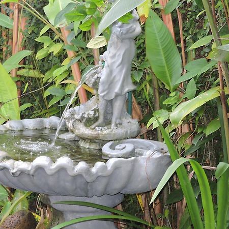 Pousada Don Alberto'S Florianópolis Zewnętrze zdjęcie